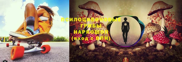 2c-b Осинники