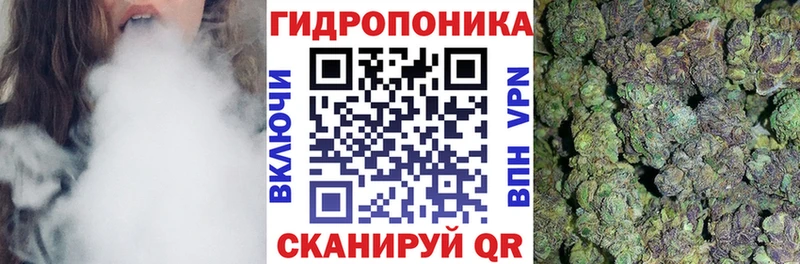 Шишки марихуана тримм  где можно купить   KRAKEN маркетплейс  Спасск-Рязанский 